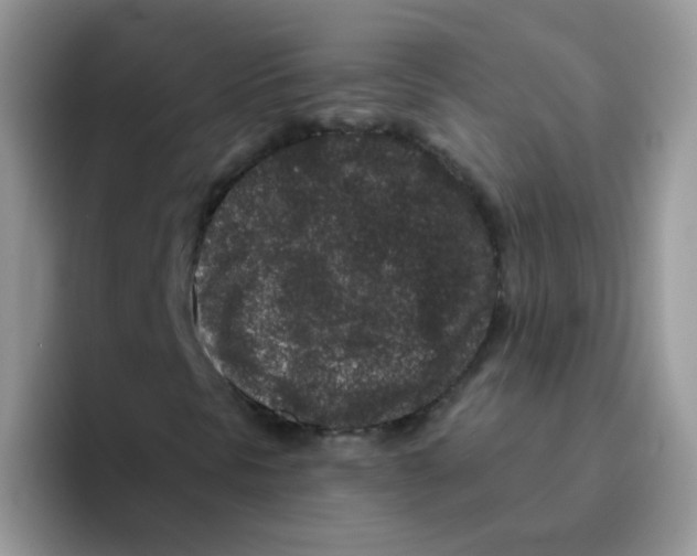 X0000095921297200802081105