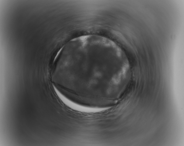 X0000095921298200802081105