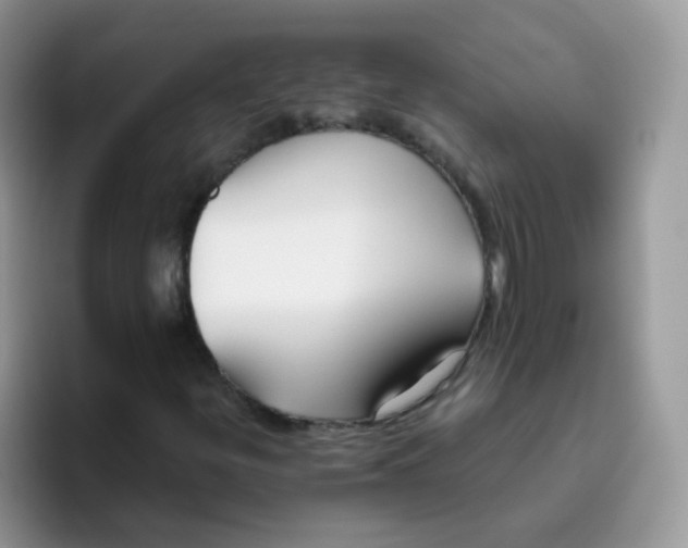 X0000095921299200802081105