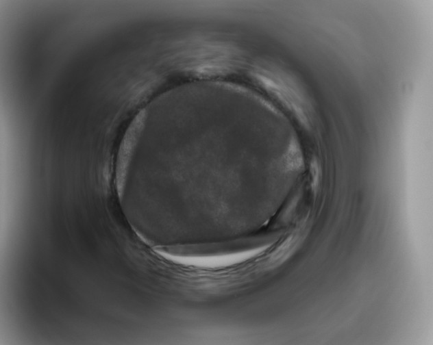 X0000095921300200802081105