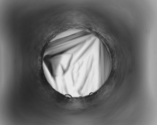 X0000095921301200802081105