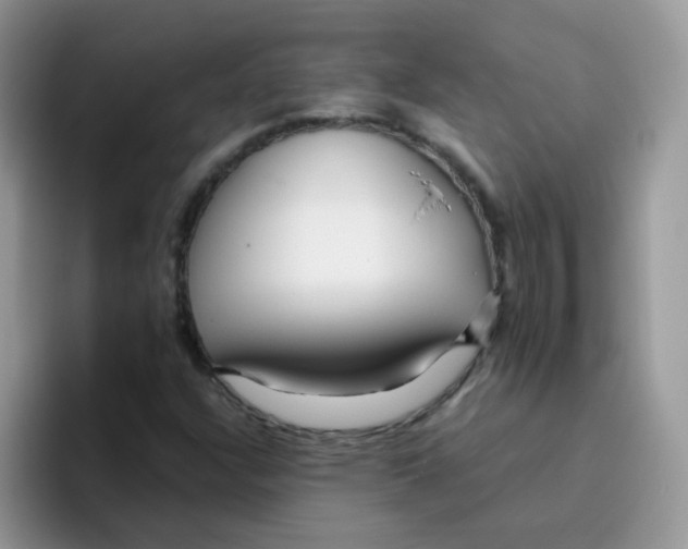 X0000095921304200802081105