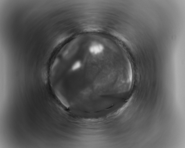 X0000095921306200802081105