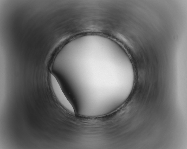 X0000095921307200802081105