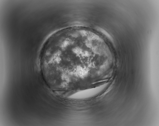 X0000095921310200802081105