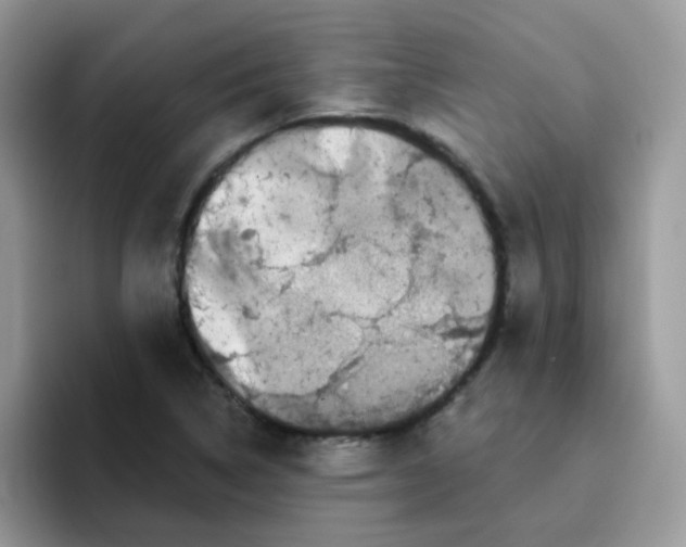 X0000095921314200802081105