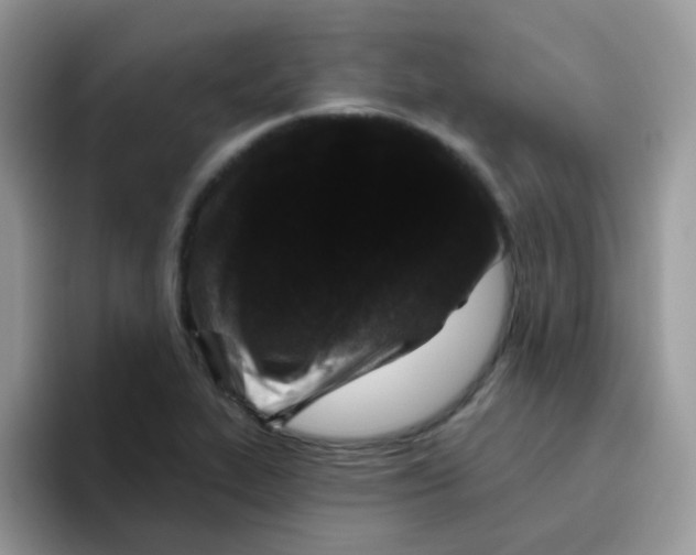 X0000095921319200802081105