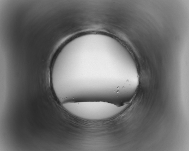 X0000095921320200802081105