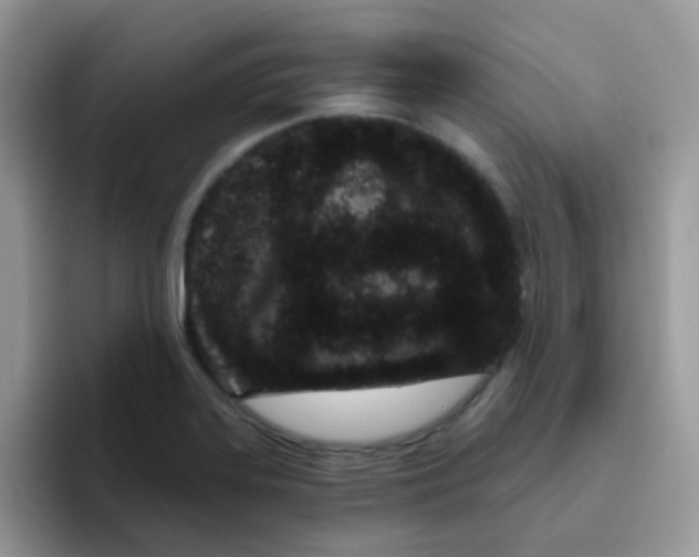 X0000095921323200802081105