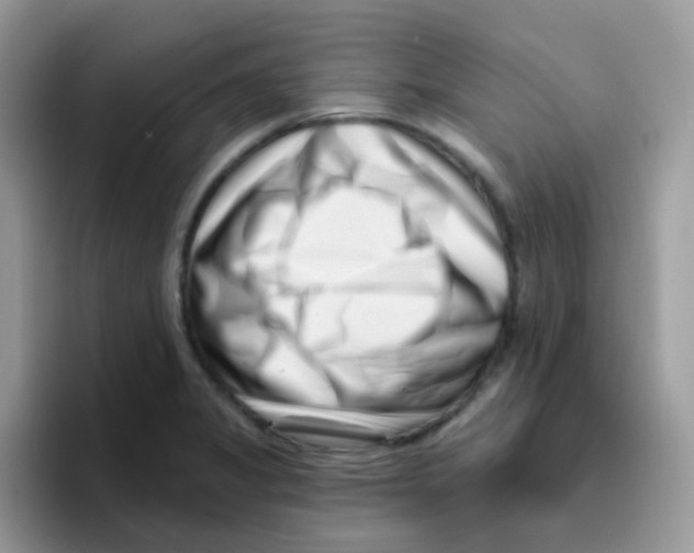 X0000095921325200802081105