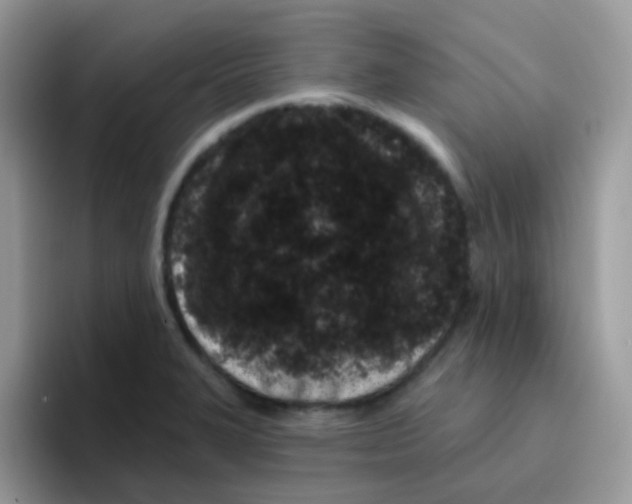 X0000095921327200802081105