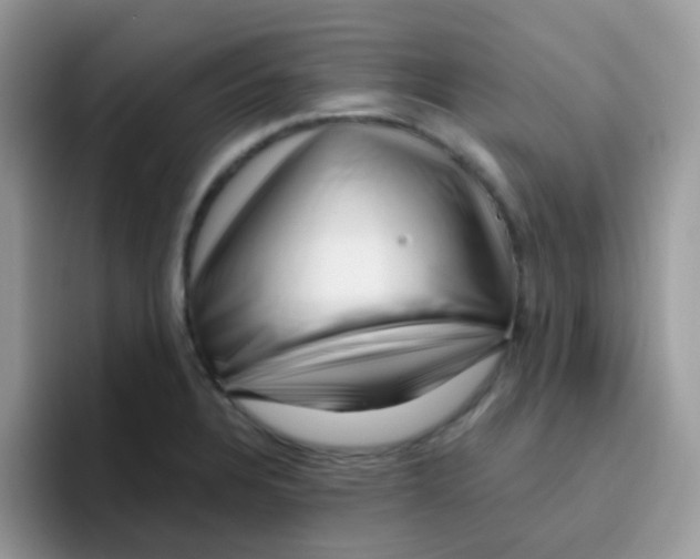 X0000095921328200802081105