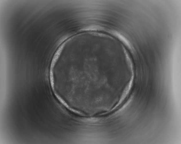 X0000095921329200802081105