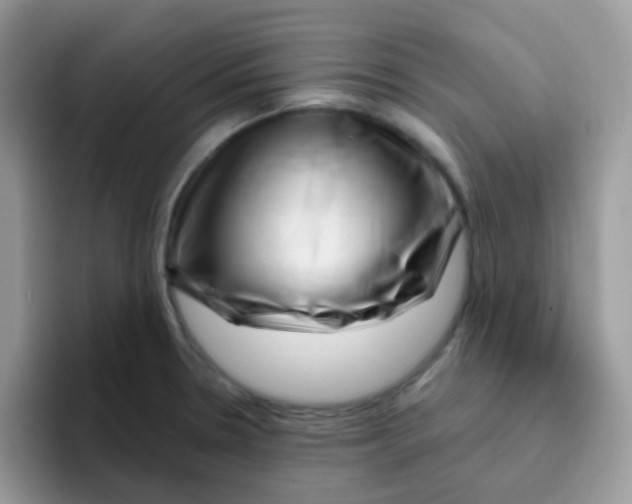 X0000095921330200802081105