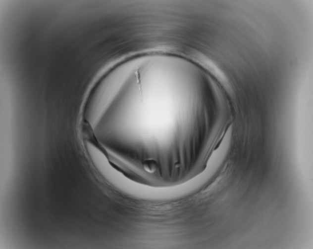 X0000095921332200802081105