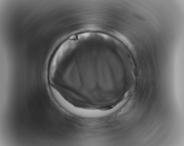 X0000095921334200802081105