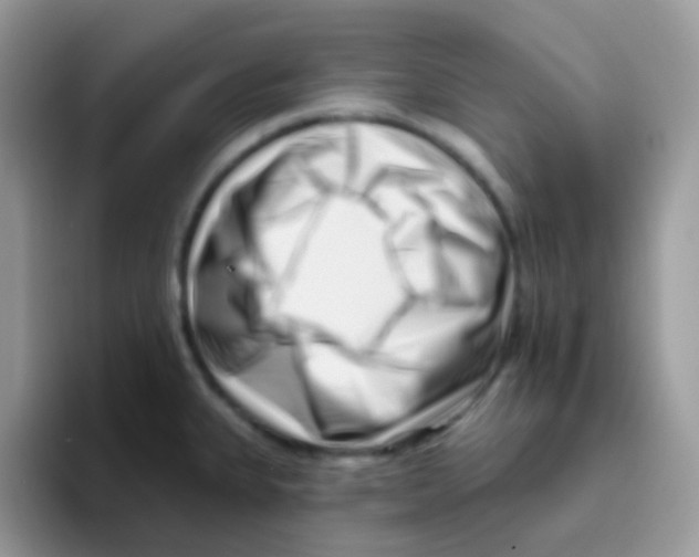 X0000095921335200802081105