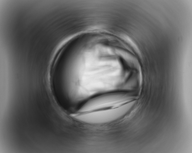 X0000095921336200802081105