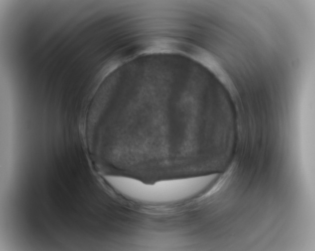 X0000095921337200802081105