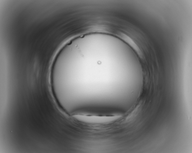 X0000095921339200802081105