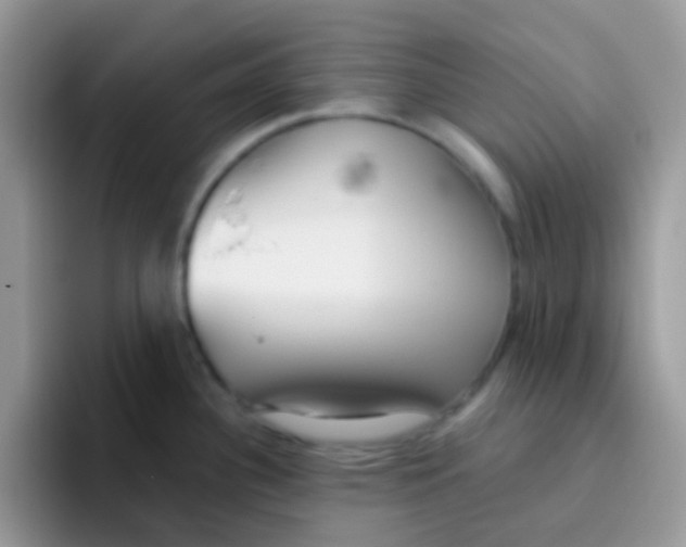 X0000095921340200802081105