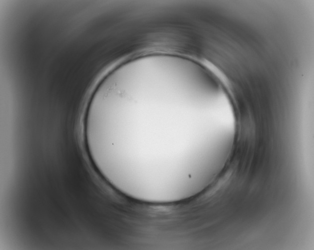 X0000095921341200802081105