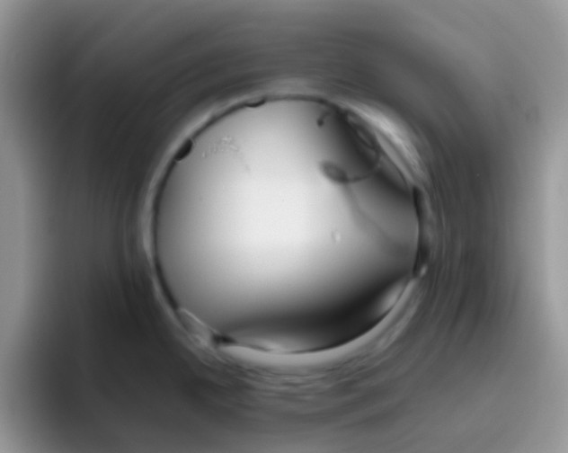 X0000095921342200802081106