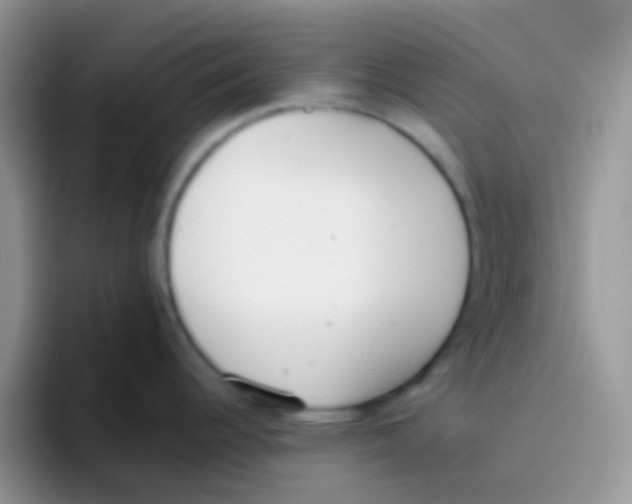 X0000095921344200802081106