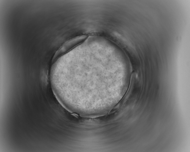 X0000095921348200802081105