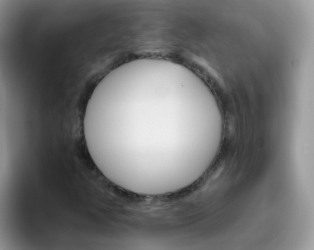 X0000095921350200802081105