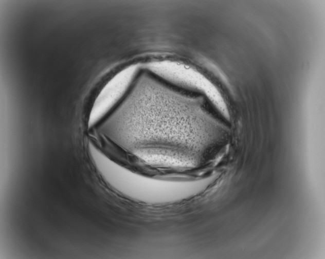 X0000095921352200802081105