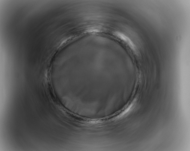 X0000095921353200802081105