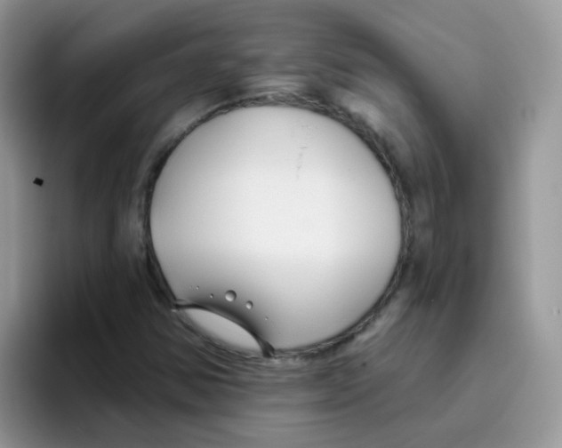 X0000095921354200802081105