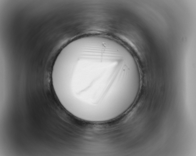 X0000095921355200802081105