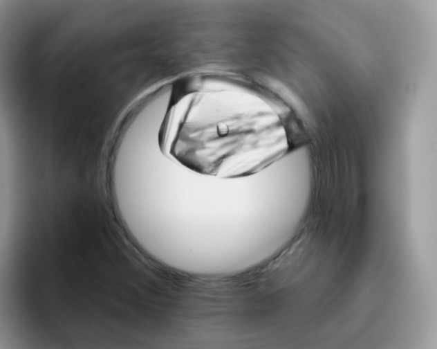 X0000095921356200802081105