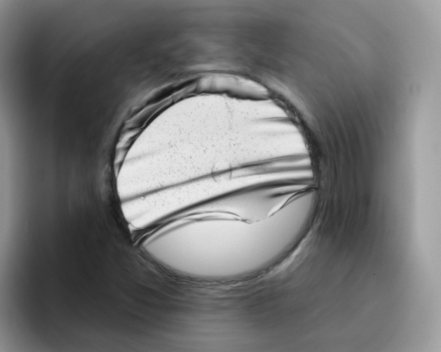 X0000095921357200802081105