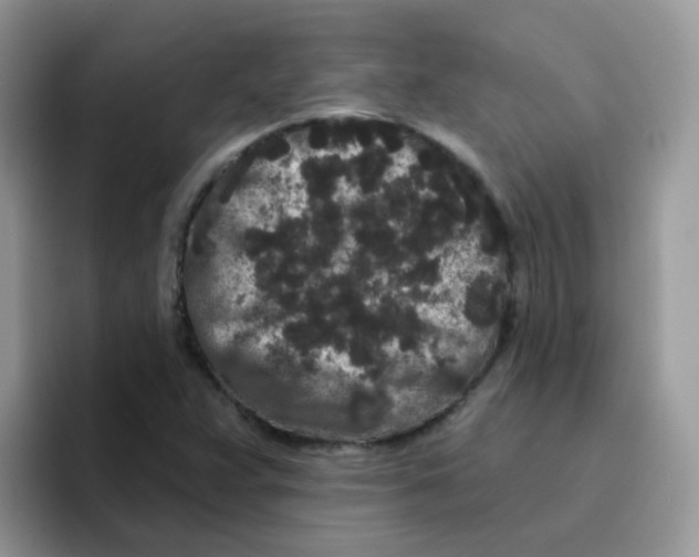 X0000095921359200802081105