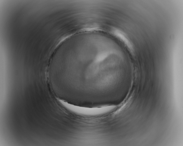 X0000095921361200802081105