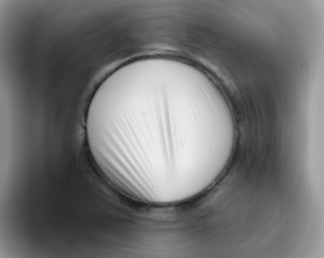 X0000095921363200802081105