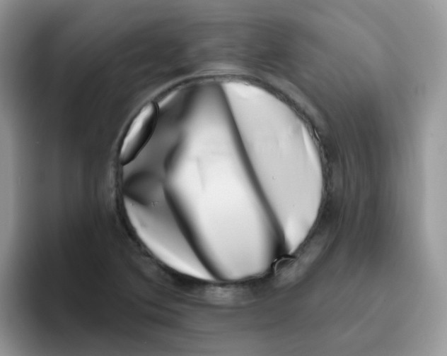 X0000095921364200802081105