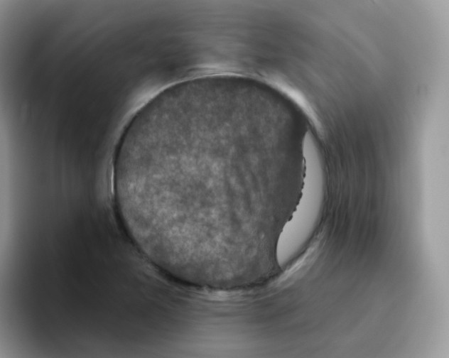 X0000095921365200802081105