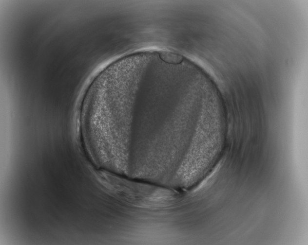 X0000095921367200802081105