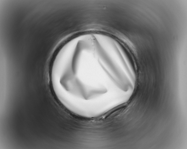 X0000095921368200802081105