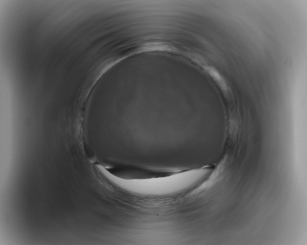 X0000095921369200802081105