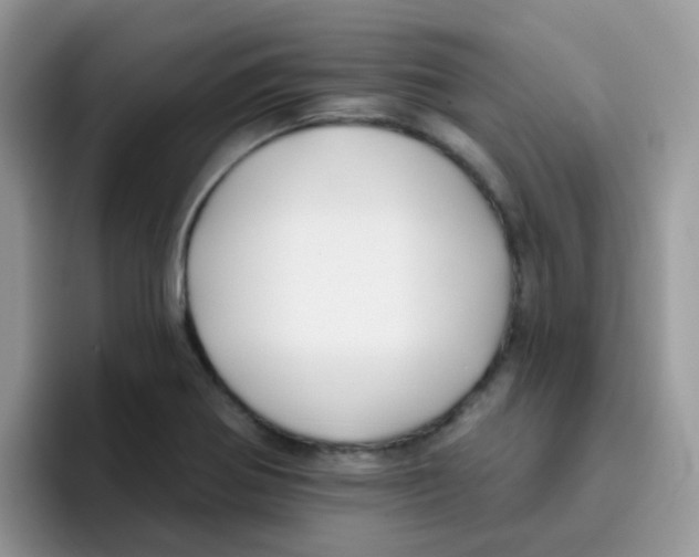 X0000095921370200802081105