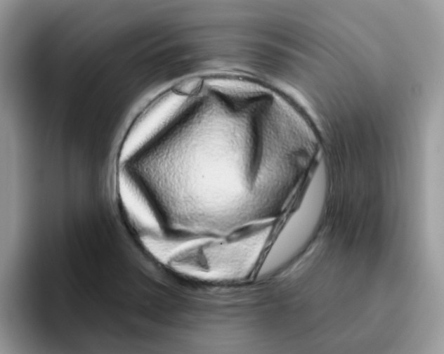 X0000095921371200802081105