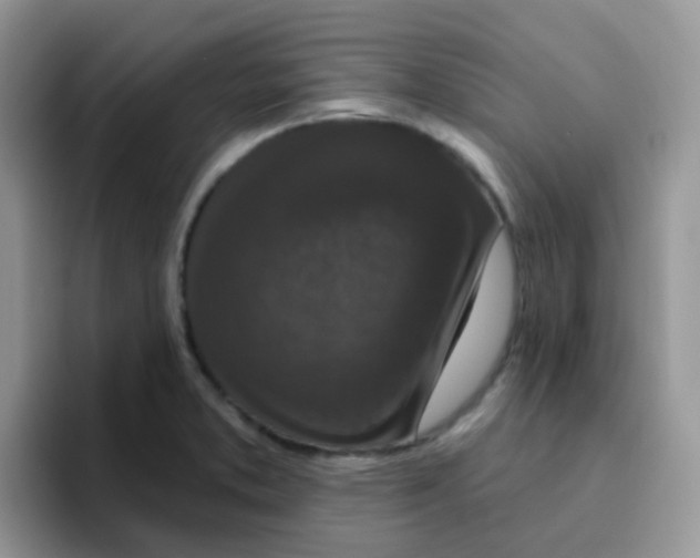 X0000095921373200802081105