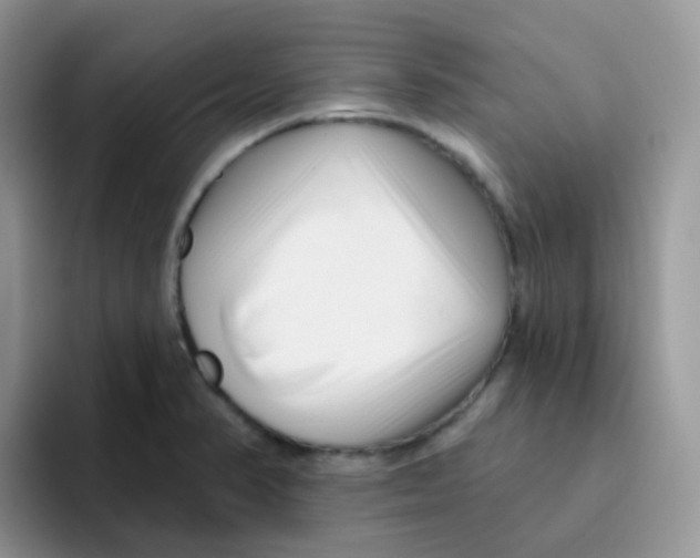 X0000095921374200802081105