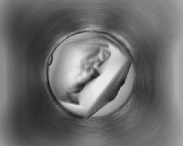 X0000095921375200802081105