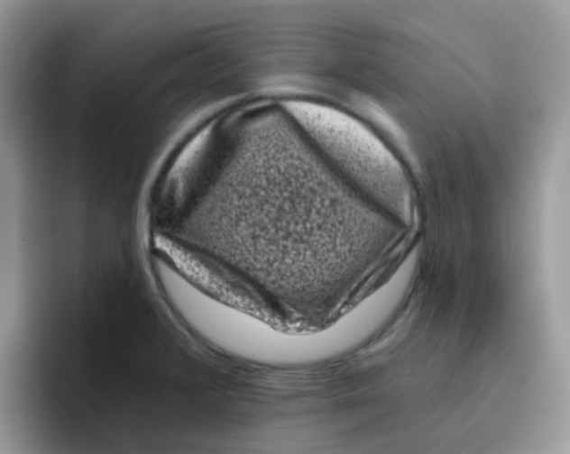 X0000095921376200802081105